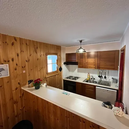 L'herensarde, Bel Avec Jardin-terrasse Et Garage Evolène